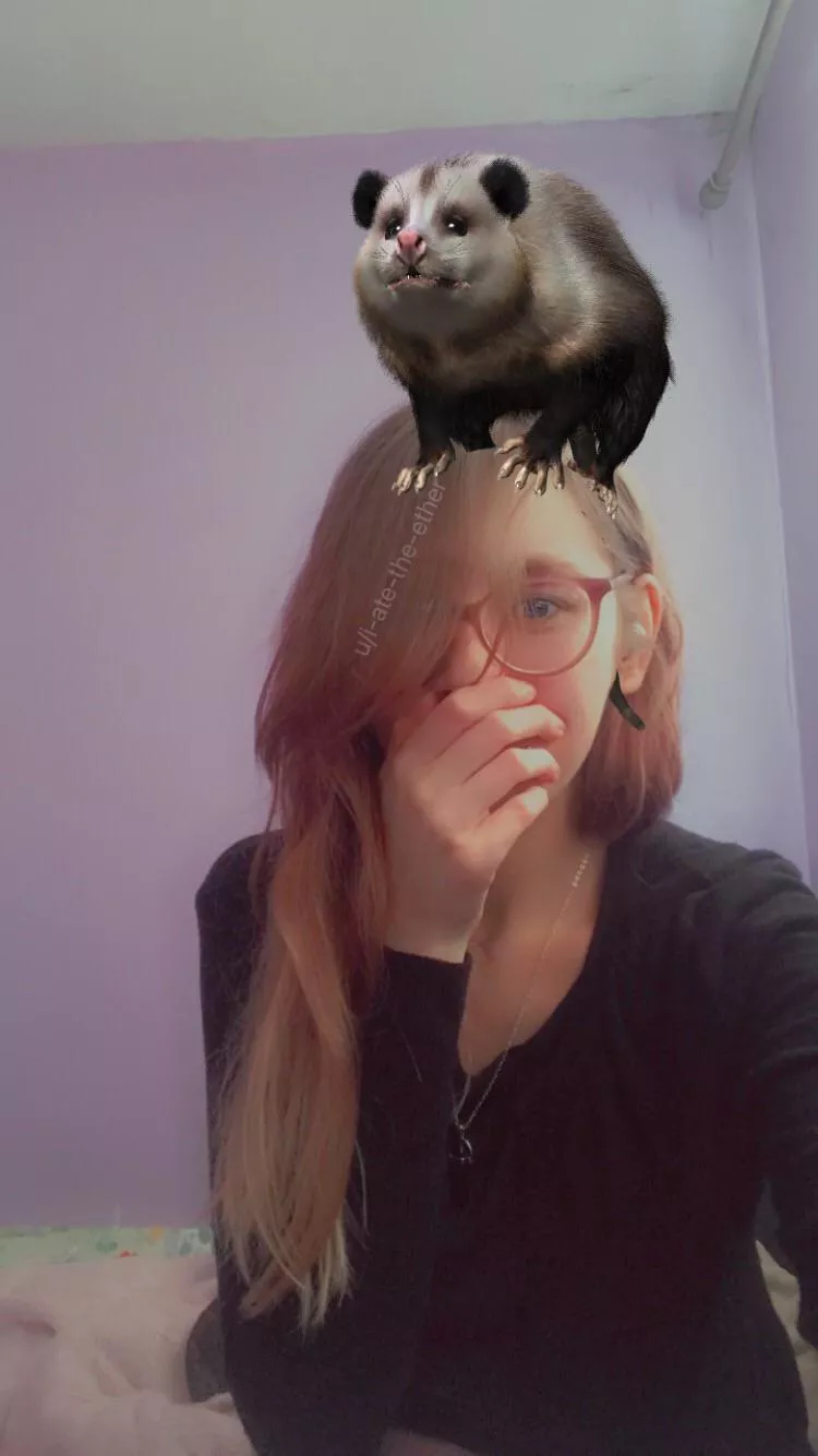 Opossum filter 💖 posted by i-ate-the-ether