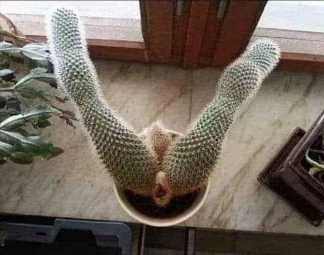 Ouchhh! by khasawneh1996