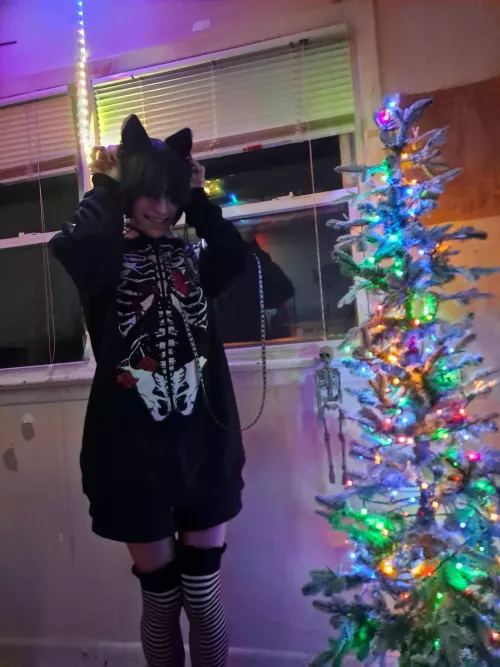 Our Christmas tree is up!🎄🐱 by Turbo_Chelsea