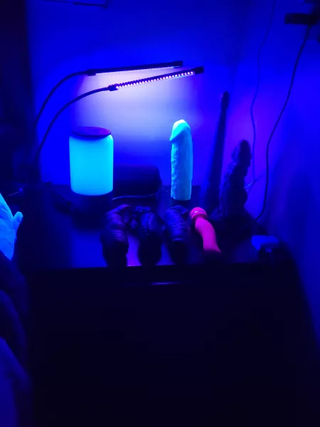 Our little shrine😈 by jandmcurious