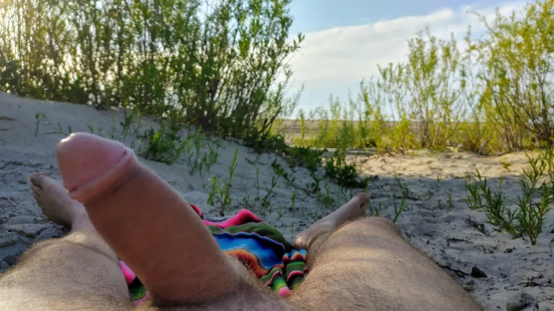 Out at the beach by exhib-fun