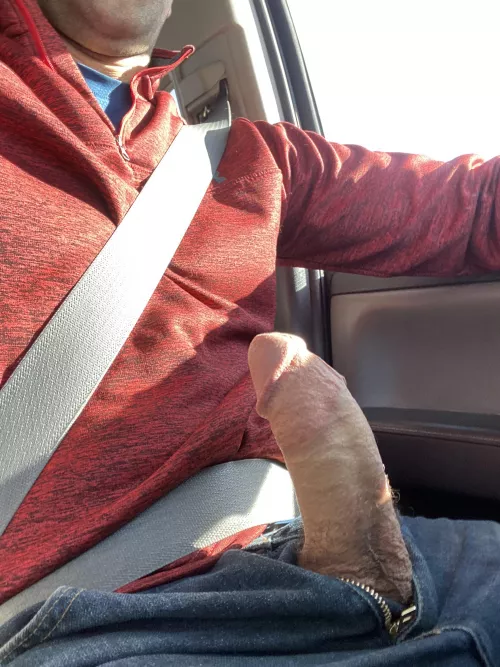 Out for a joy ride by [deleted]