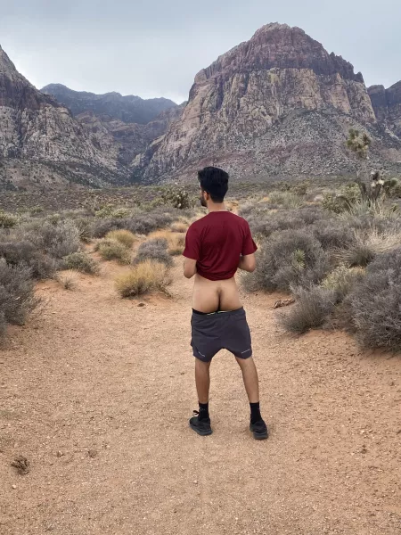 out in the mojave ;) by philomendren