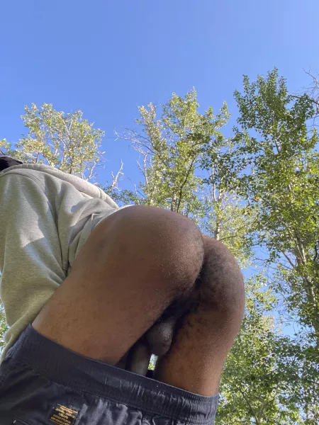 Out in the woods this morning by wayside555