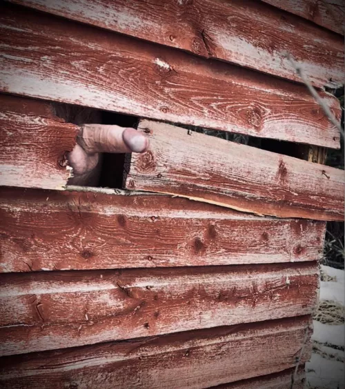 Outdoor glory hole by Outdoorsnewd