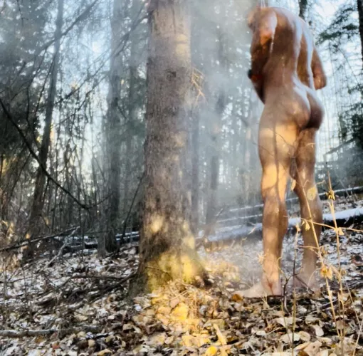 Outdoor shower by Outdoorsnewd