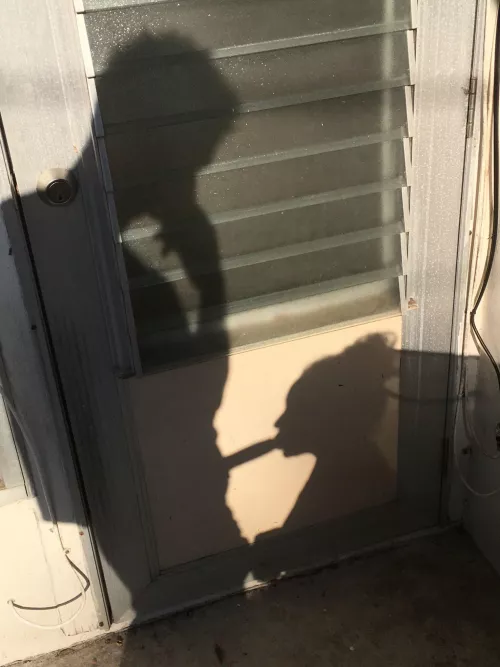 Outside by dried_nut