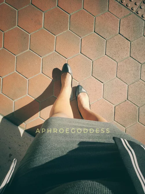 Over here little mutts, lick my feet and submit to me [Domme] by AphroeGoddess