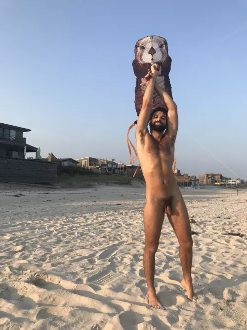 Owl kite by NaturistPictures