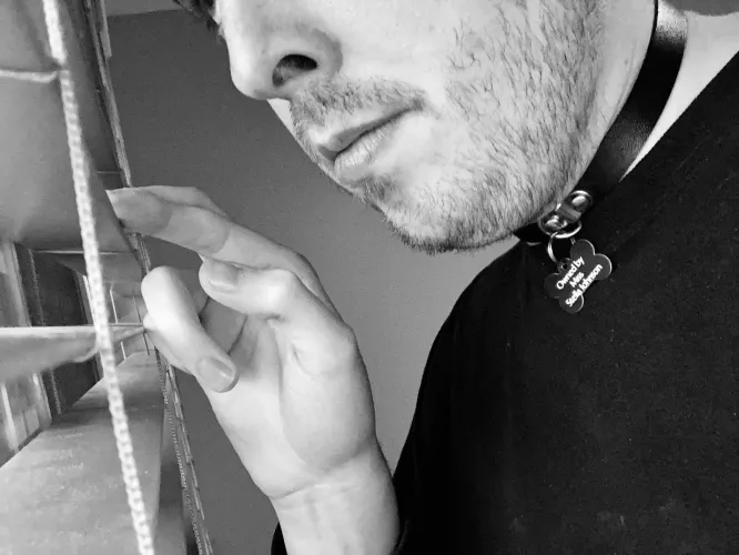 Owned and collared by /u/Stellajelly_ by LaBonnePoutine