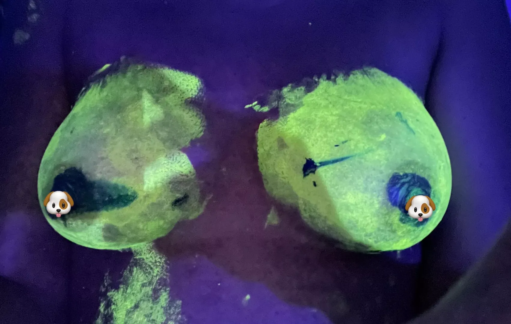 Paint brushes posted by Nicole-Boner