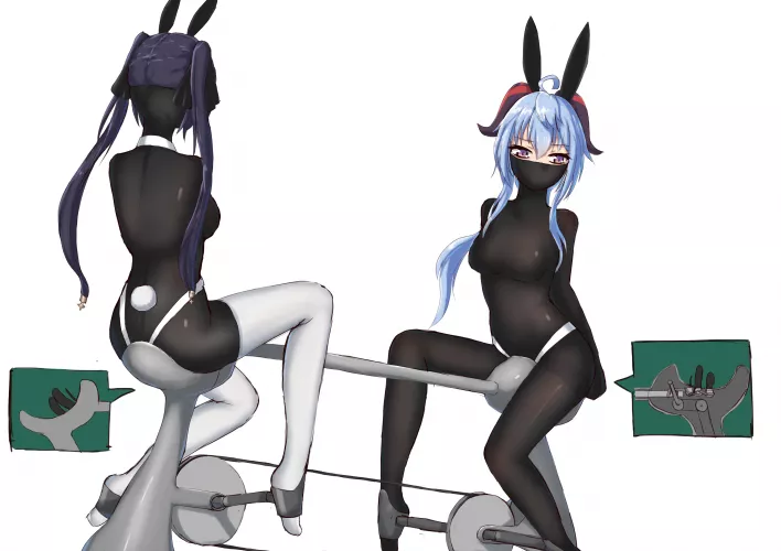 Pair of bunnies cycling together by nettsurfyears