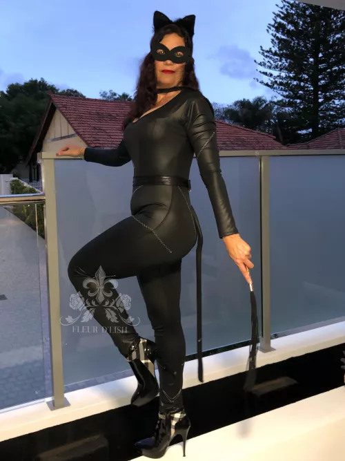 Panther or cougar? Either way, make me purr! Happy Halloween by FleurDlish