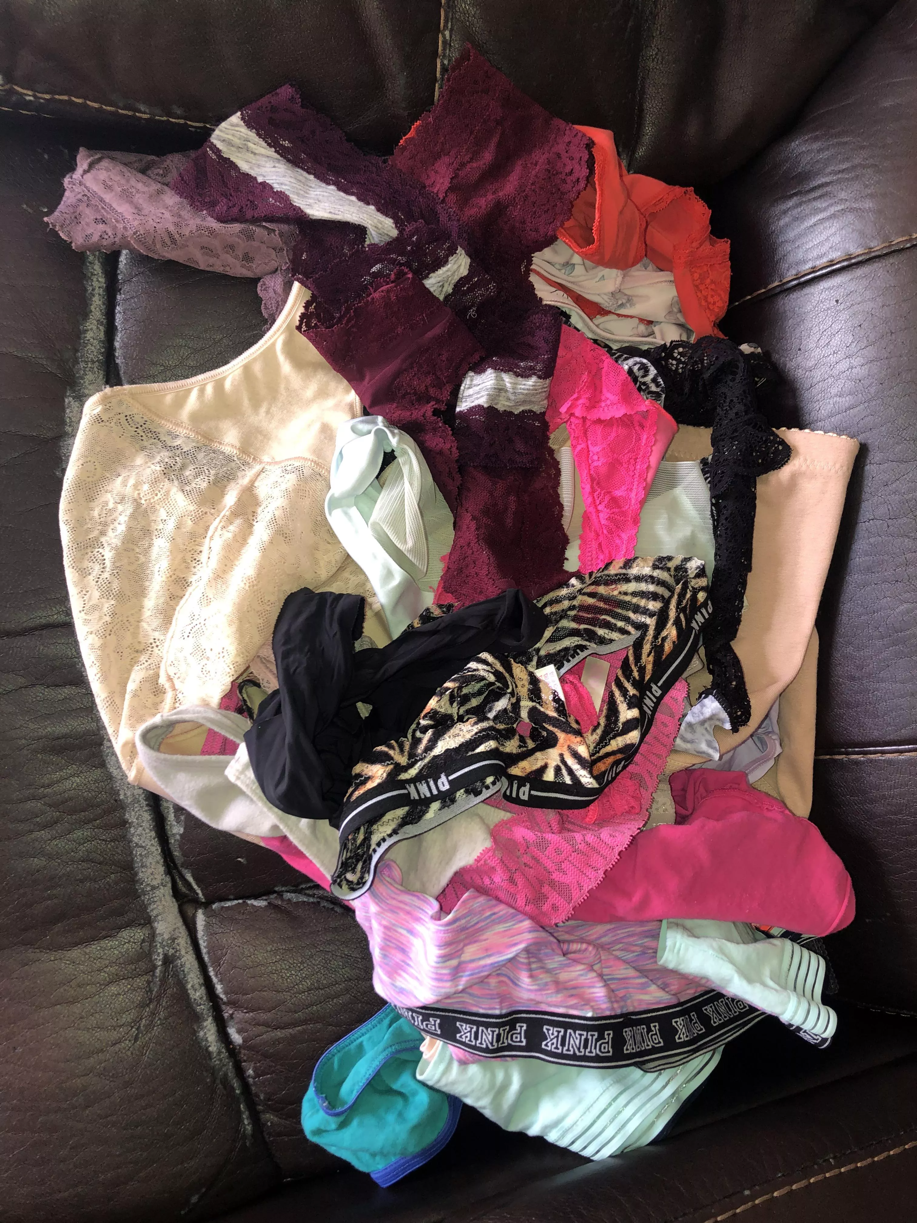 Panties collection getting better !! posted by Lopsided-Weather5745