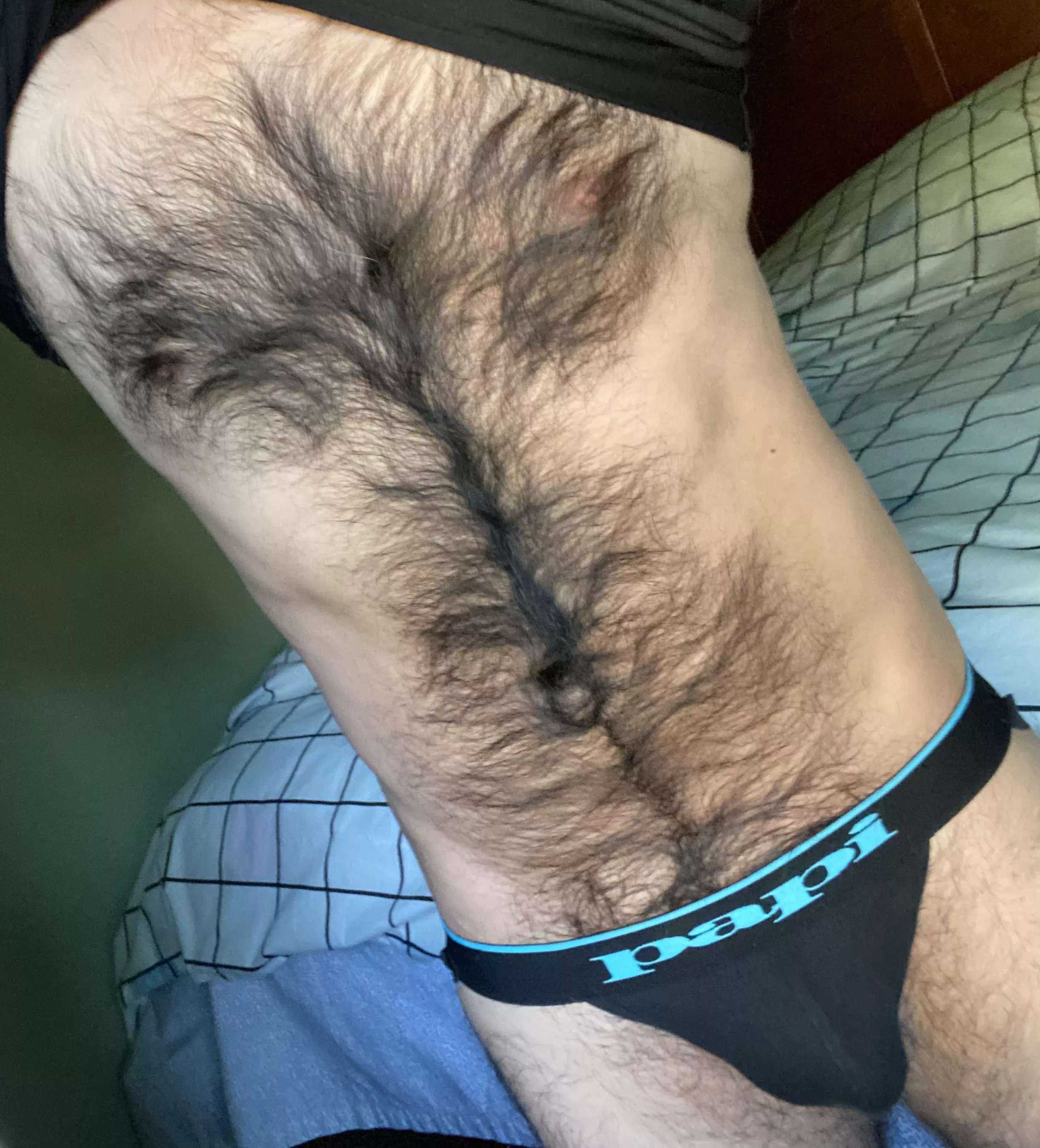 papi jock posted by NedSeton