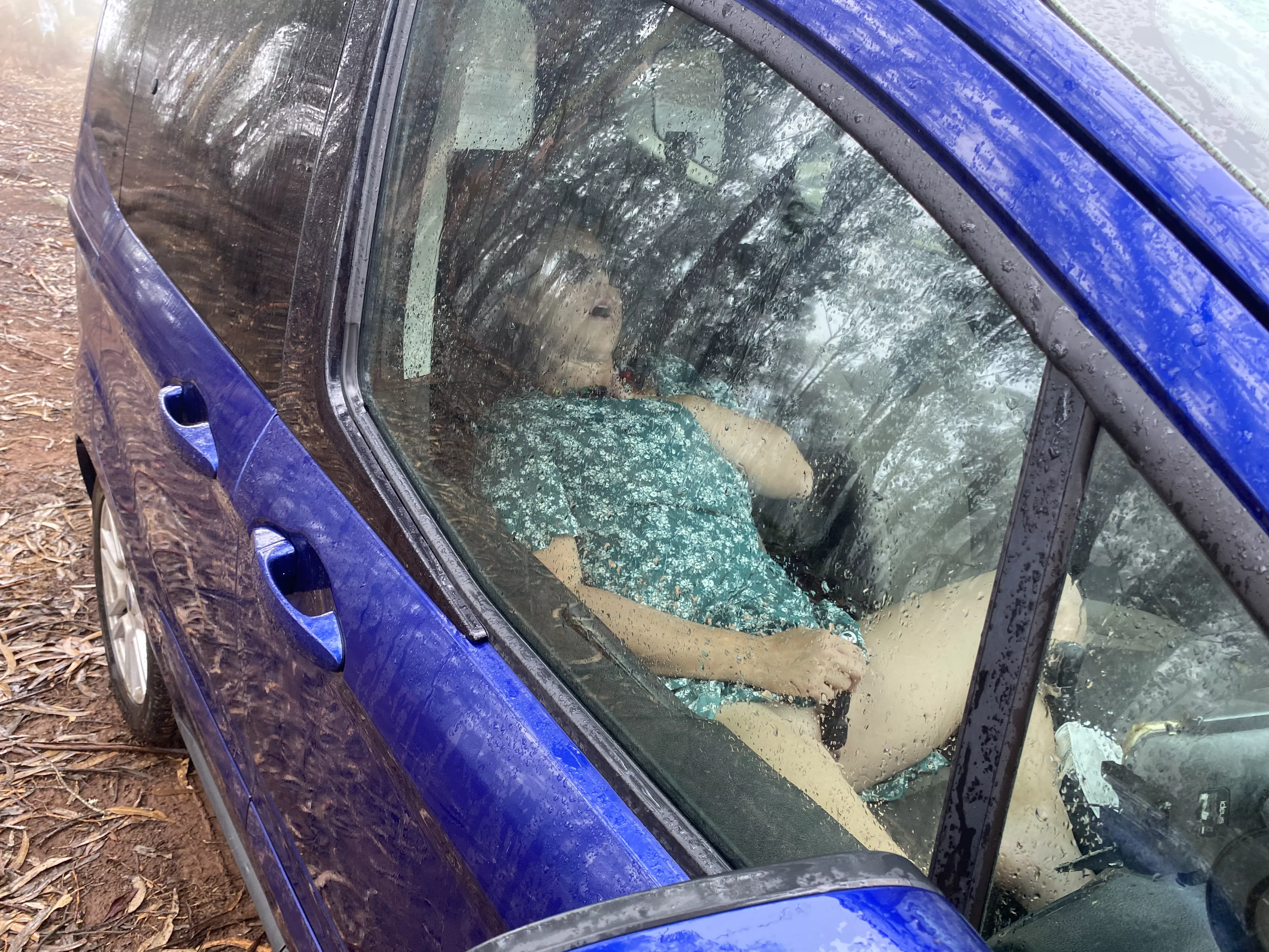 Parked for the lunch break. Would you stop and look into my car ? posted by EmilyAmateur