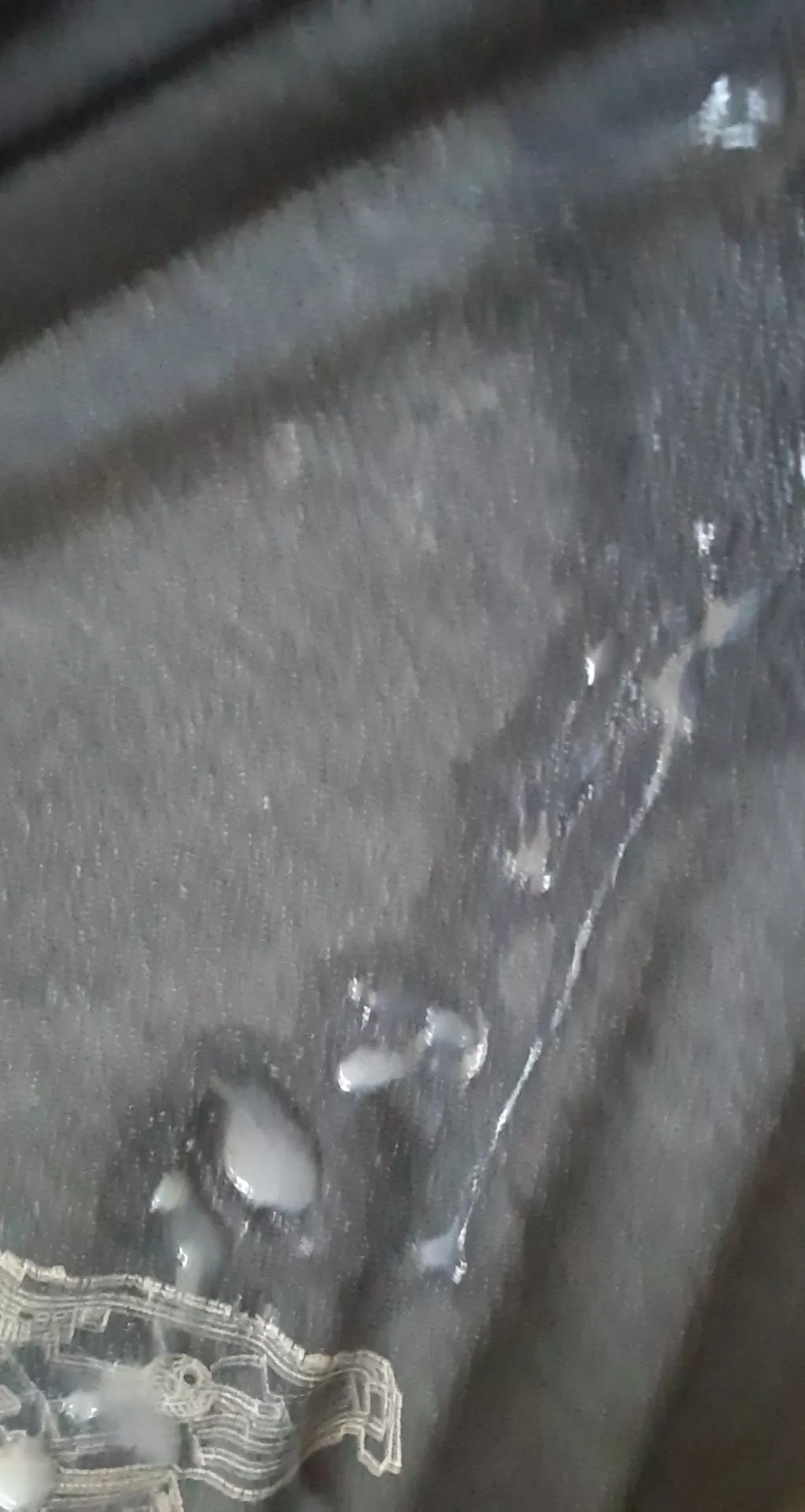 Part of my load today. Should I start doing tributes? posted by LoverOfPillows