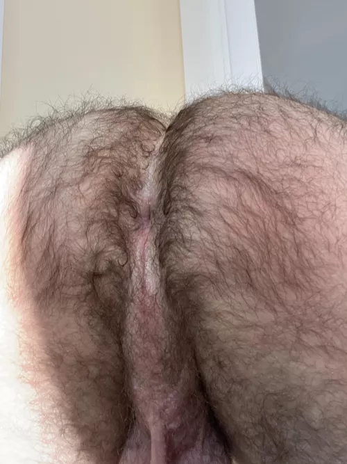 Partial eclipse of my moon by nostromo1803