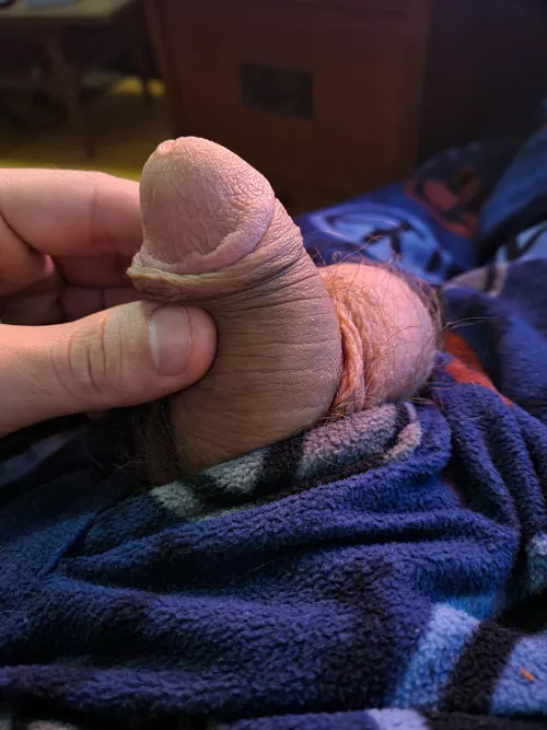 Peace by ThePissingDick