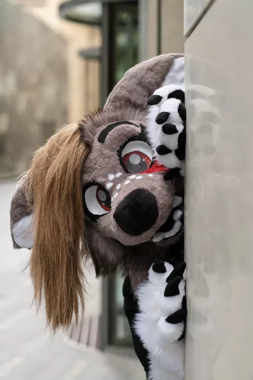 Peakaboo! | 📸: Salvy_salvernia by VampyBooXO