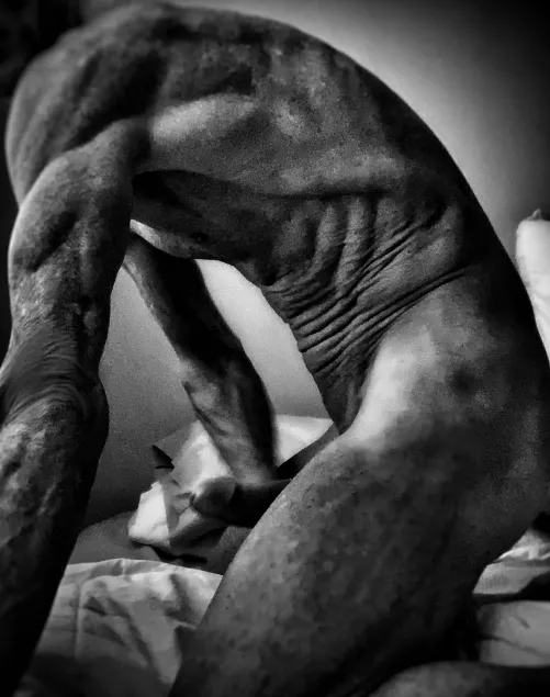 Peaking from the shadows by ridingzipps