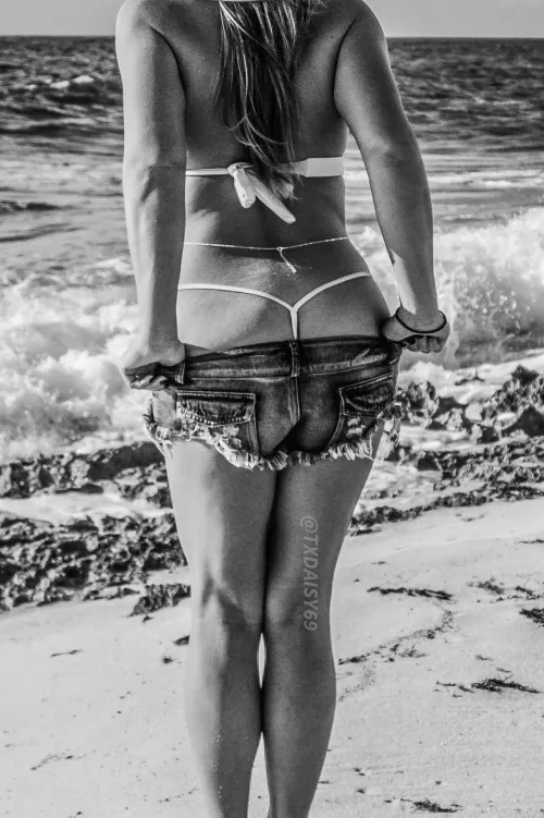 Peaking out by txdaisy69