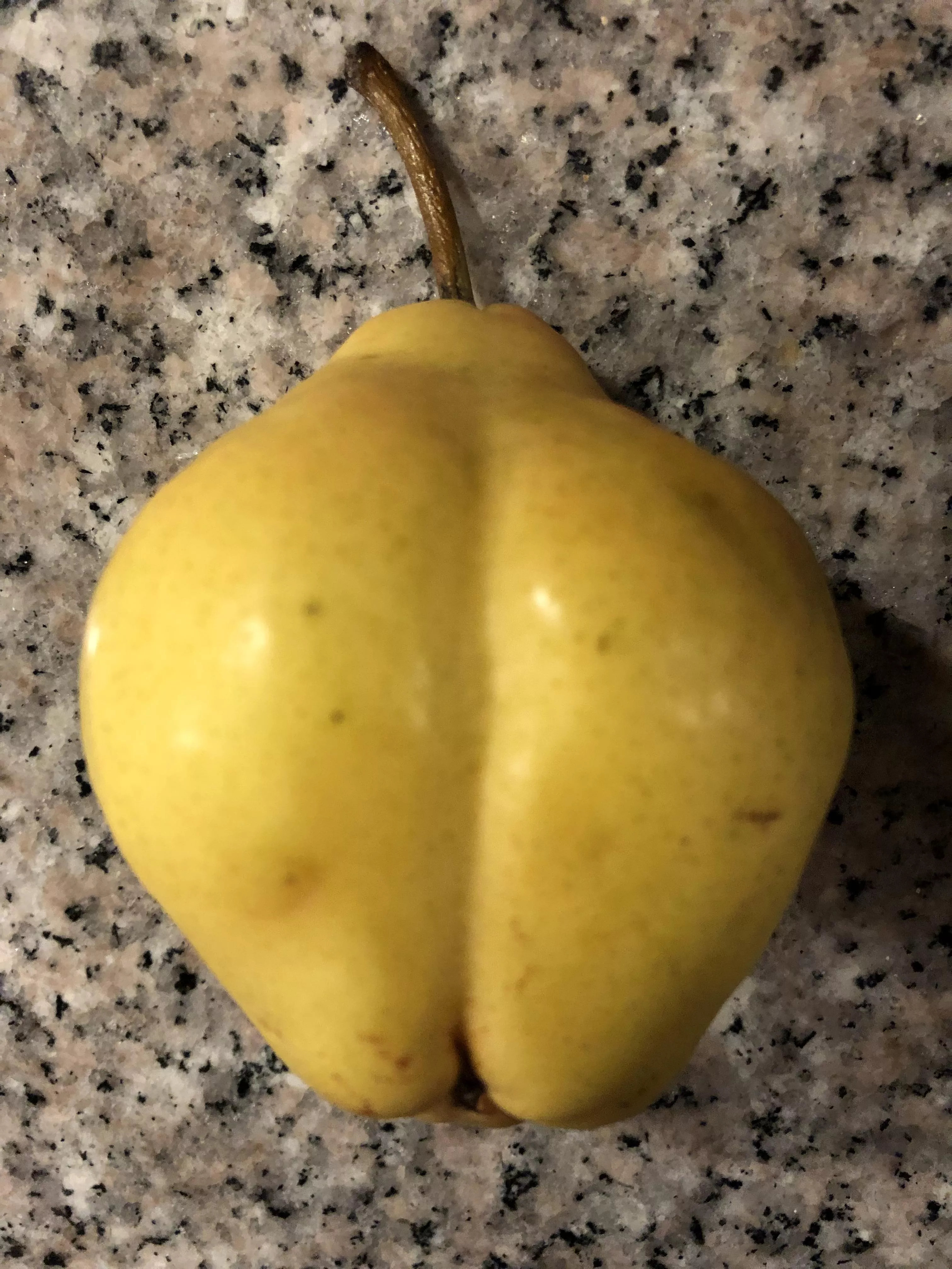 Pear Baby got Back. posted by flactulantmonkey