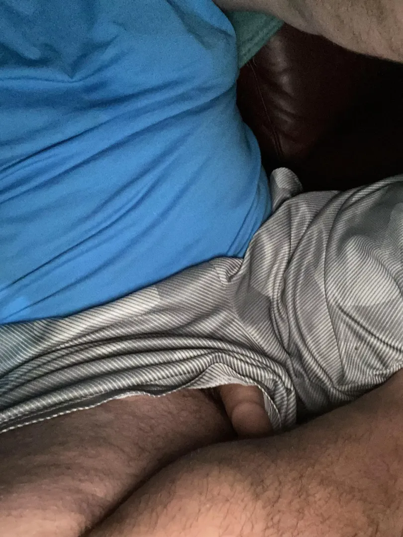 Peek a boo posted by JustAnotherCub