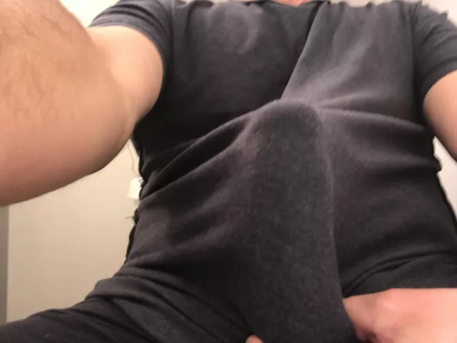 Peek a boo by donahuechris