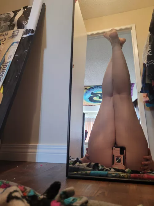 peek a boo by winterbunniee