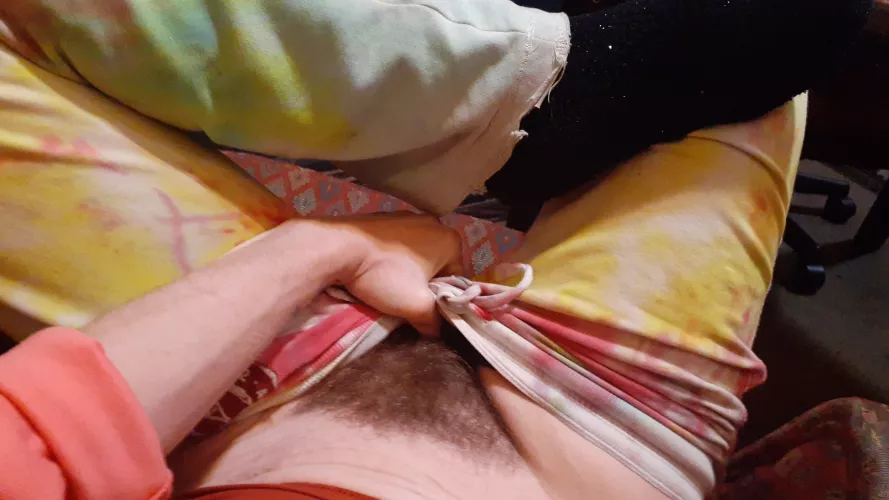 Peekaboo bush by G0ddessm0mmy