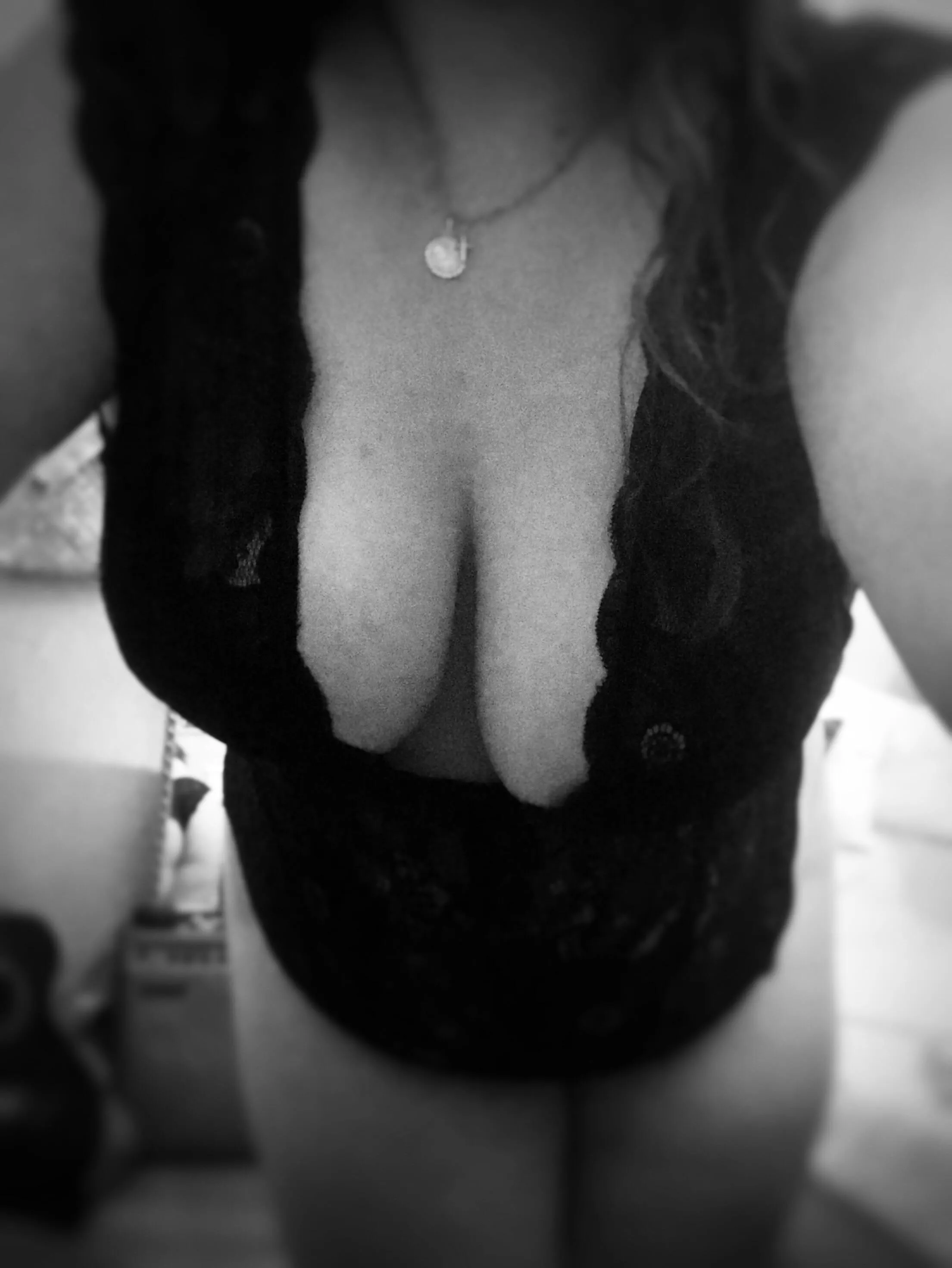 Peek-a-bum, anyone? posted by rooooosa