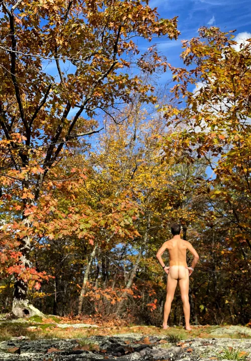 peeping at leaves. hoping the hikers are peeping at me. by hungrunner