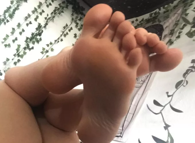 Perfect spot for your face ;) by kckittypaws