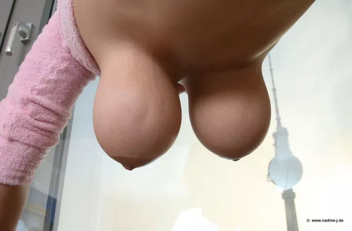 Perfect View by Worldly_Zebra