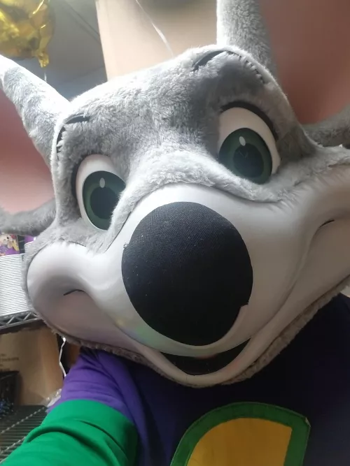 Perks of being a furry I love my job by bobybob17