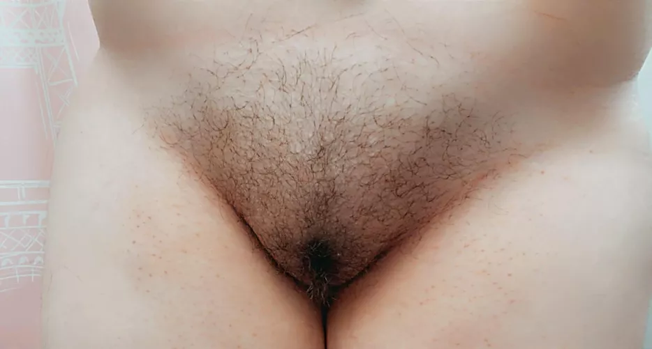 pet my hairy kitty? 🐈✨ by shylittlenymph