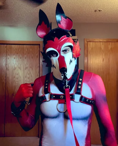 Pet suit came in 😏 by Ezo_K