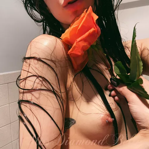 Petite & Pierced 🌹 by MissDiamondBella