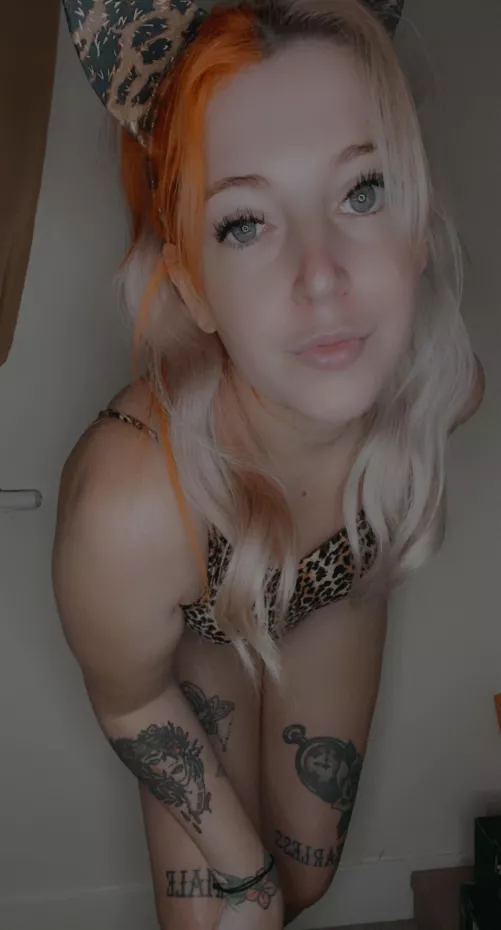 Petite pocket rocket with cute little tits & very spankable ass. $10 a month including nudes, 1:1 messaging. Additional rates for sexting, dick rates, GFE. Come keep me company. I’m a very sociable bunny.