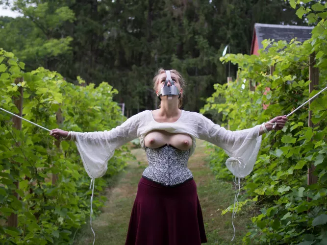 Petition to make kinky ren faires a thing by Silakaruna