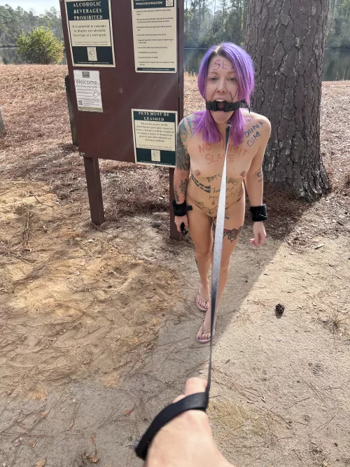 Pets must be on a leash by lilglitterbitch