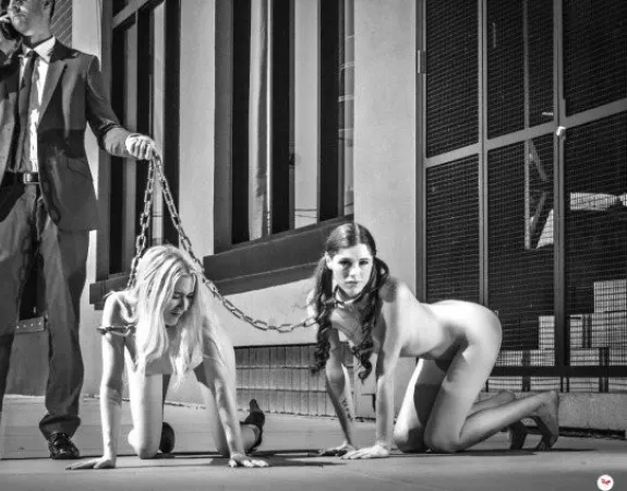 Pets by JustOneAgain