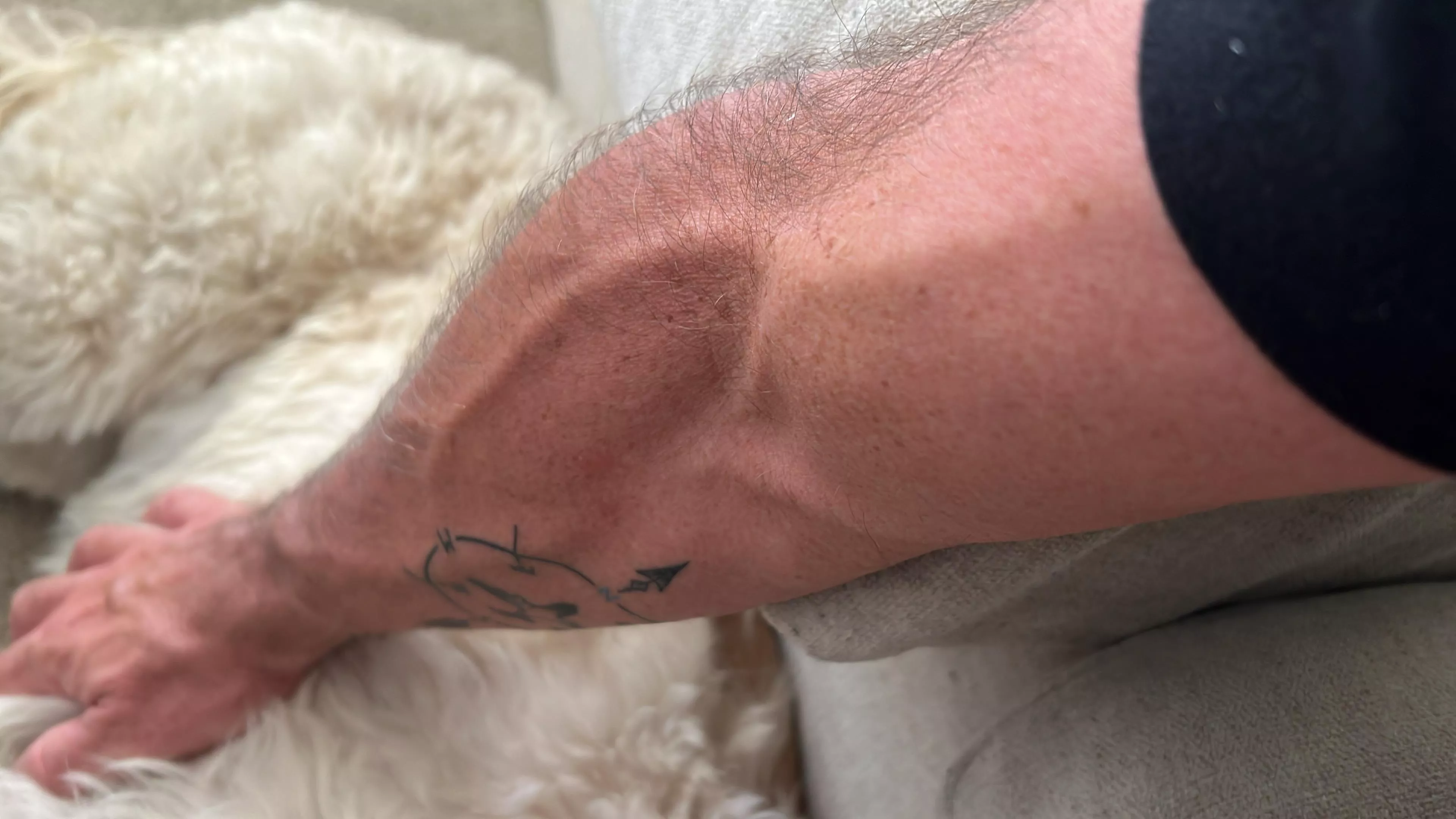 Petting… posted by usefulshrimp