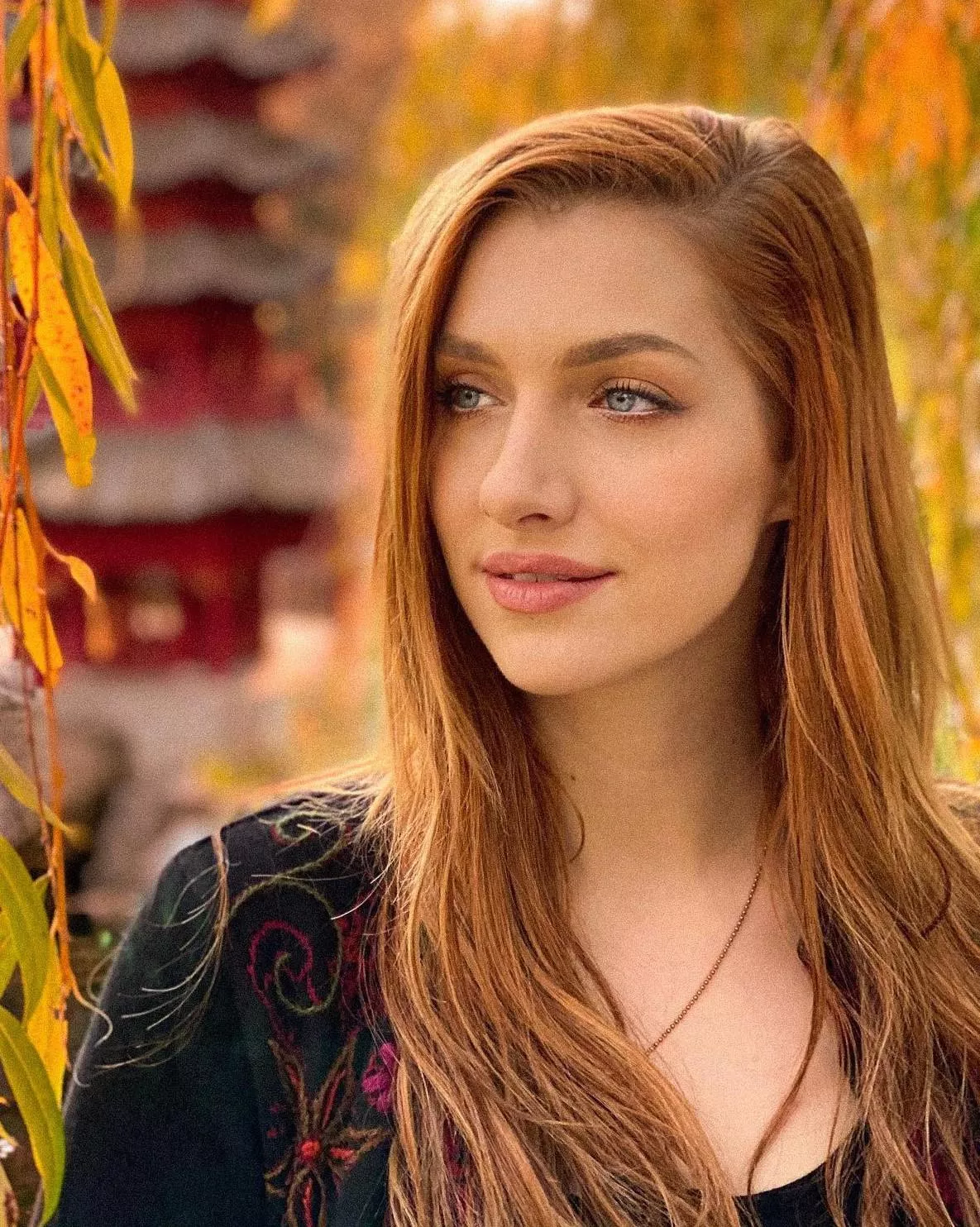 Phenomenal posted by deltavagen