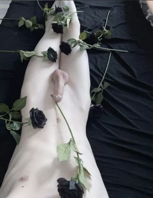 Pick me 🖤 by Cemetery_Obituary