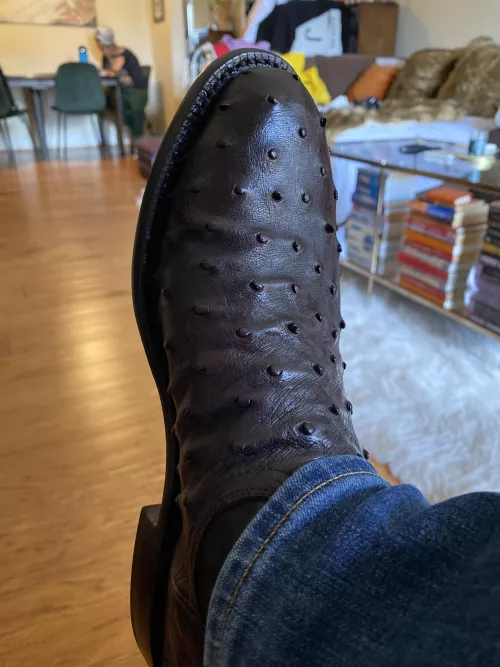 Picked up some new Luccs by fartfacejones86