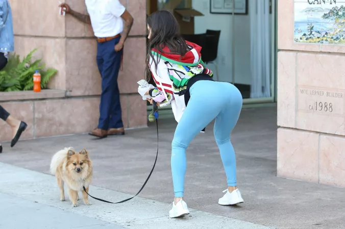 Picking up poop by [deleted]