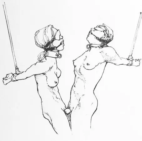 Picture by [deleted]