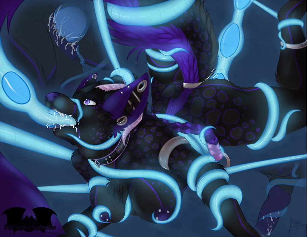 Piercings! posted by tinbucketman